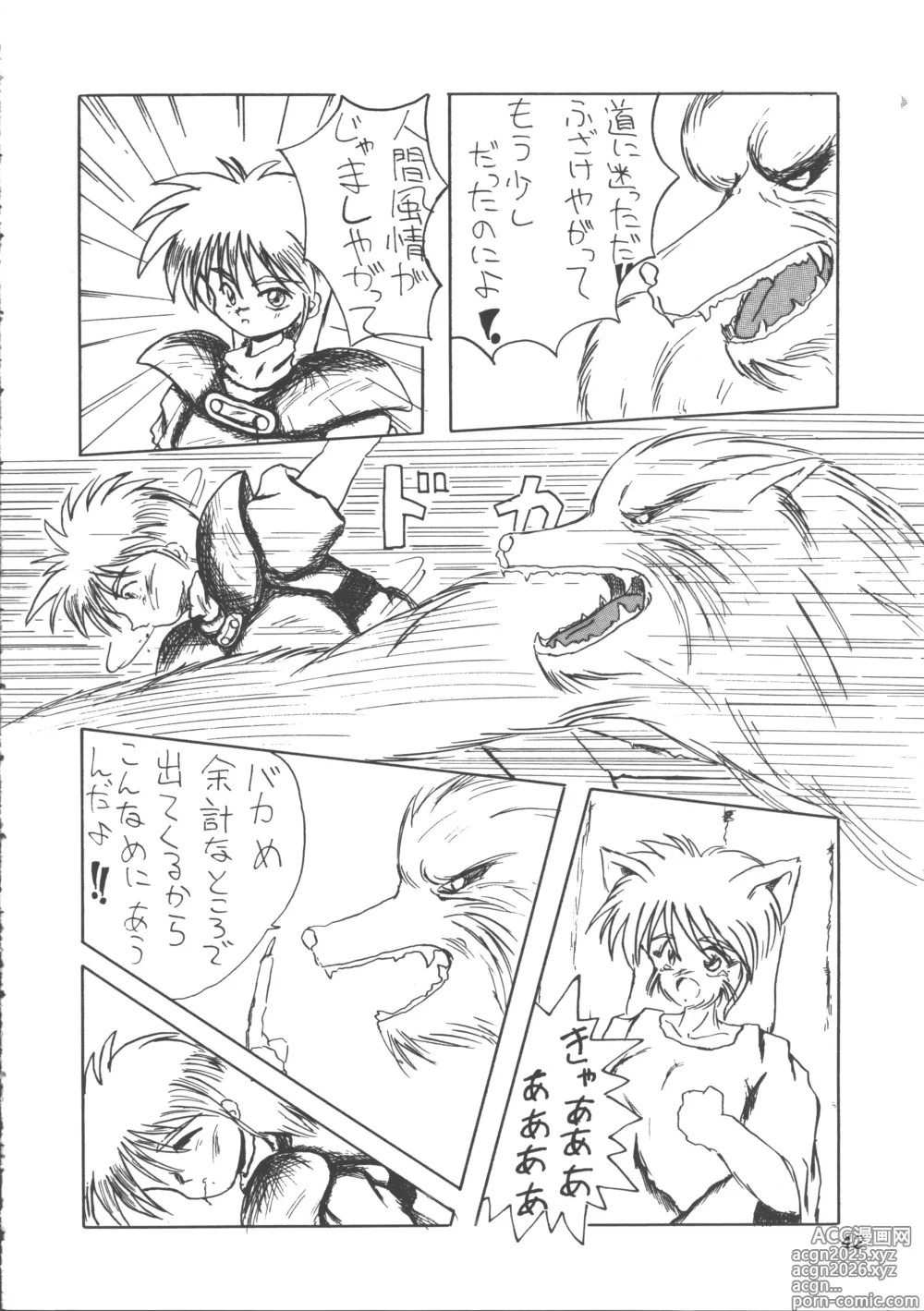Page 41 of doujinshi ZOANTHROPY