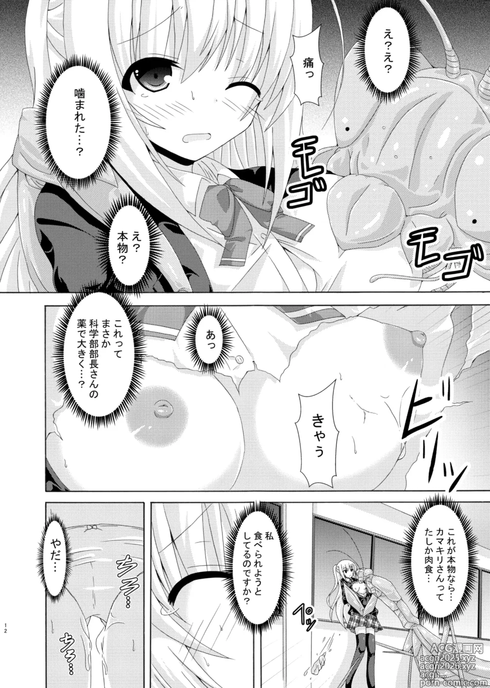 Page 11 of doujinshi Sukuru・obu・Insekuto