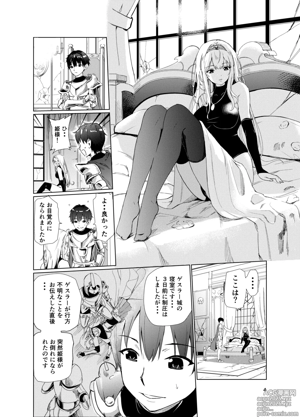 Page 3 of doujinshi Kyouran no Toubatsu Hime Daria 2
