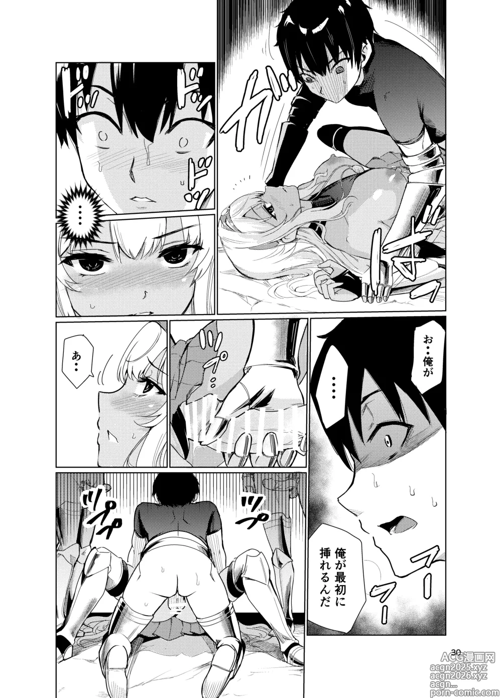 Page 29 of doujinshi Kyouran no Toubatsu Hime Daria 2