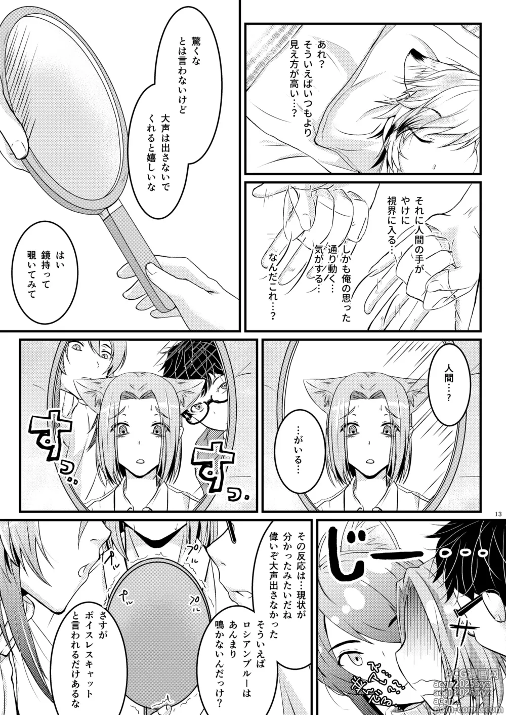 Page 13 of doujinshi ーWelcome home to our houseー