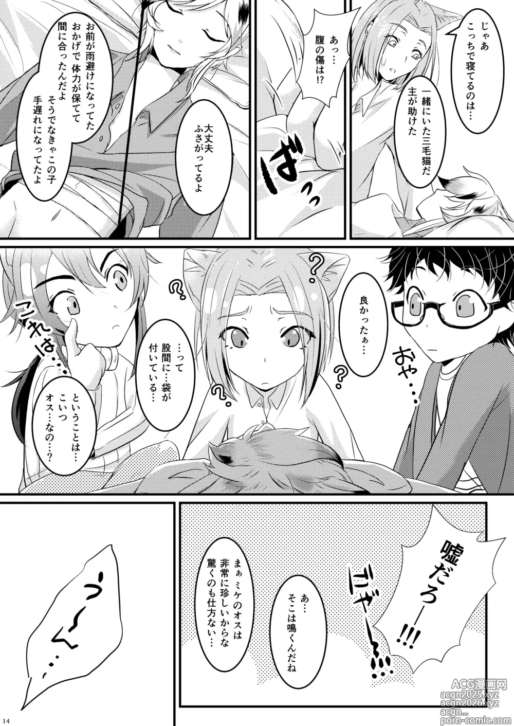 Page 14 of doujinshi ーWelcome home to our houseー