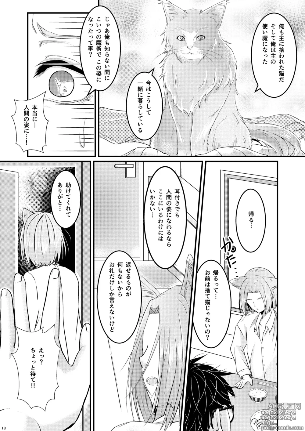 Page 18 of doujinshi ーWelcome home to our houseー