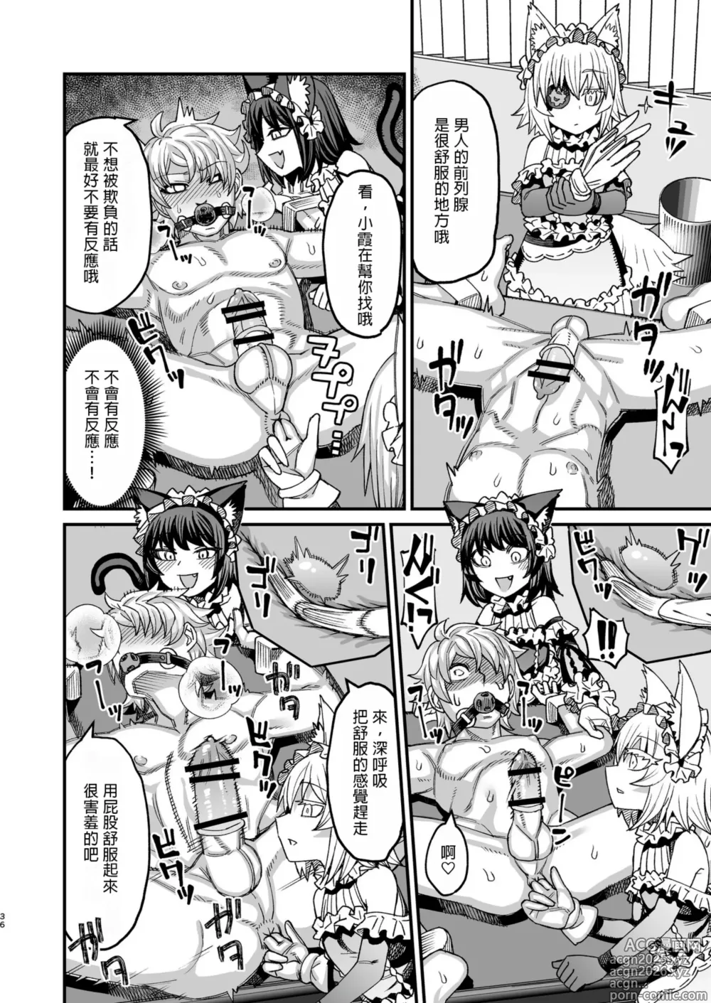 Page 35 of doujinshi Futago Otoshi ~Anata o Maso ni Shite Ageru~