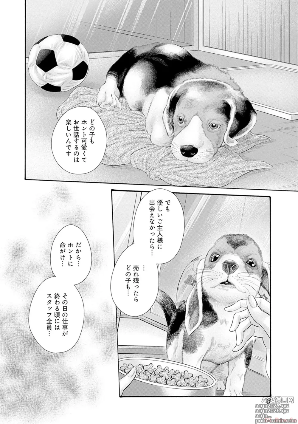 Page 10 of manga Watakushi no Eichi na Rirekisho volume 9