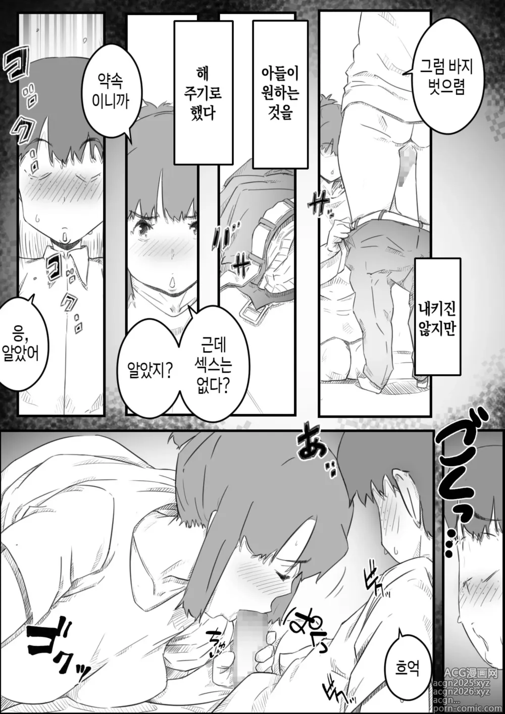 Page 18 of doujinshi 처음은, 엄마로… 엄마와 아들의 한여름의 비밀
