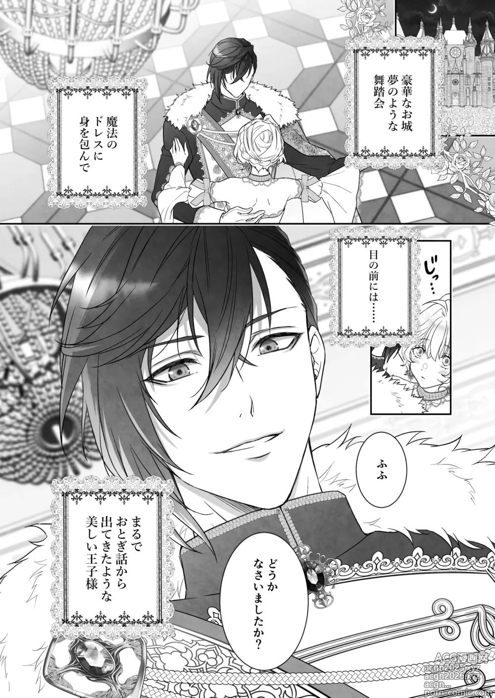 Page 3 of doujinshi 24時を過ぎたシンデレラは王子の異常な愛に執着される