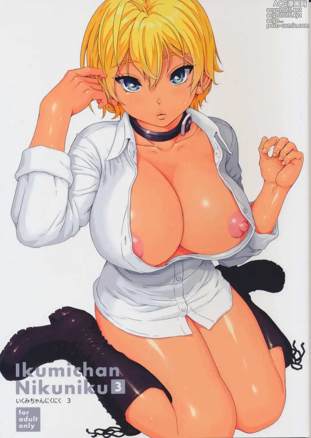 Page 1 of doujinshi Ikumi-chan Niku Niku 3 (decensored)