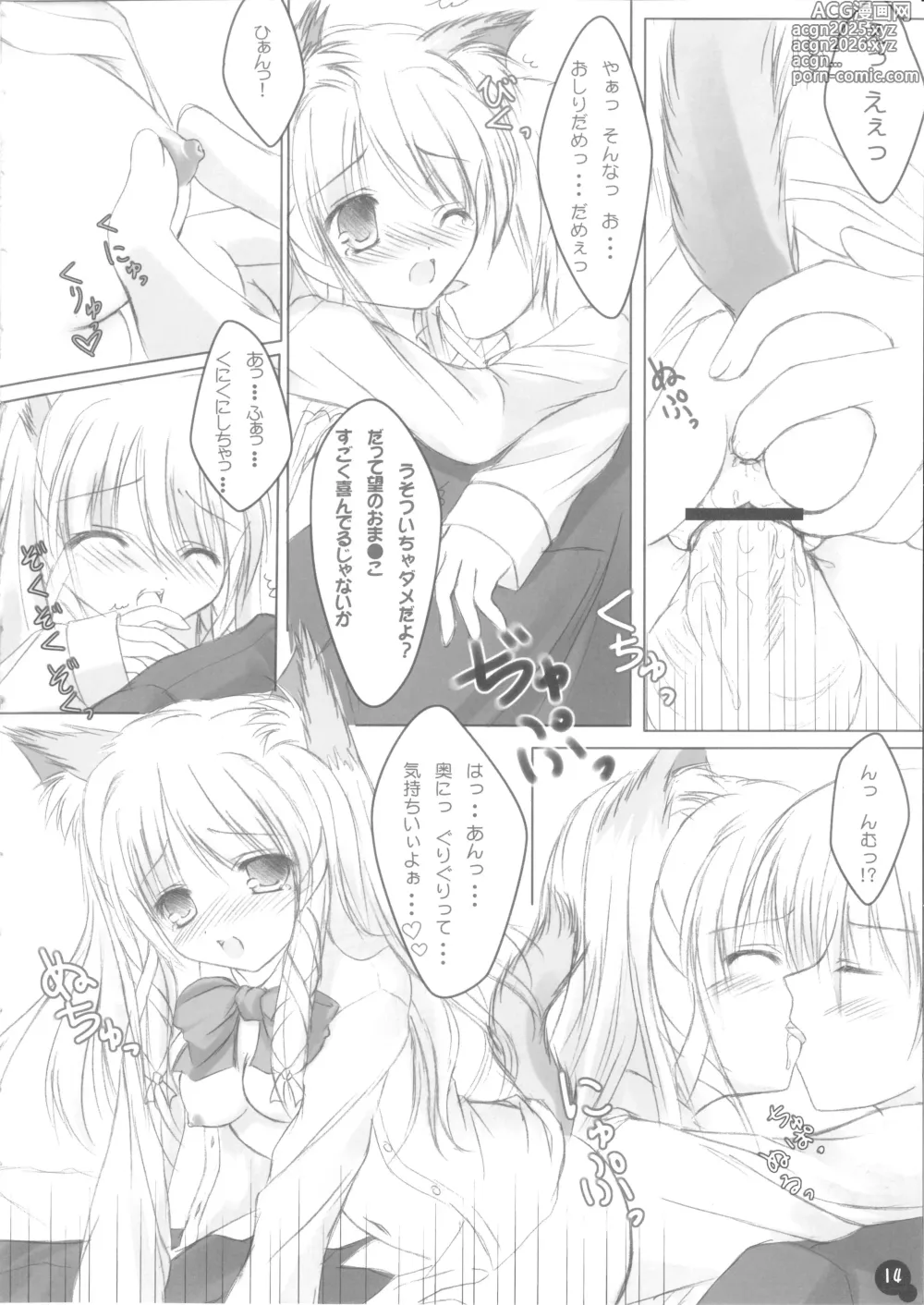 Page 13 of doujinshi Self Satisfaction 2