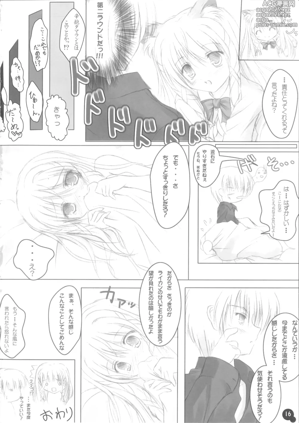 Page 15 of doujinshi Self Satisfaction 2