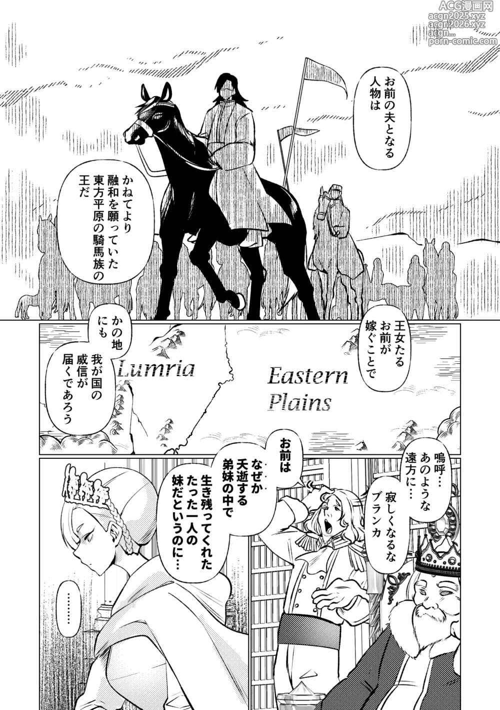 Page 3 of doujinshi 姫騎士王女、異民族の王に愛される。