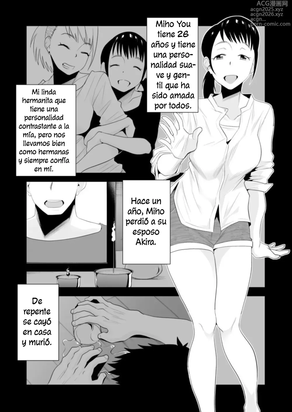 Page 3 of doujinshi Netorase de Hermanas ~Sexo Serio con el Esposo de mi Hermana~