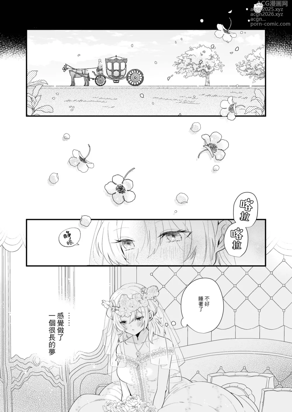 Page 11 of doujinshi 笼~横刀夺新娘~