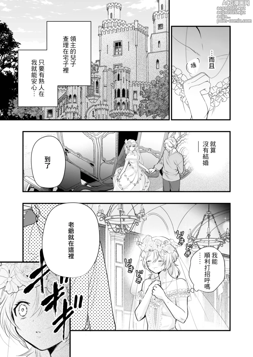 Page 13 of doujinshi 笼~横刀夺新娘~