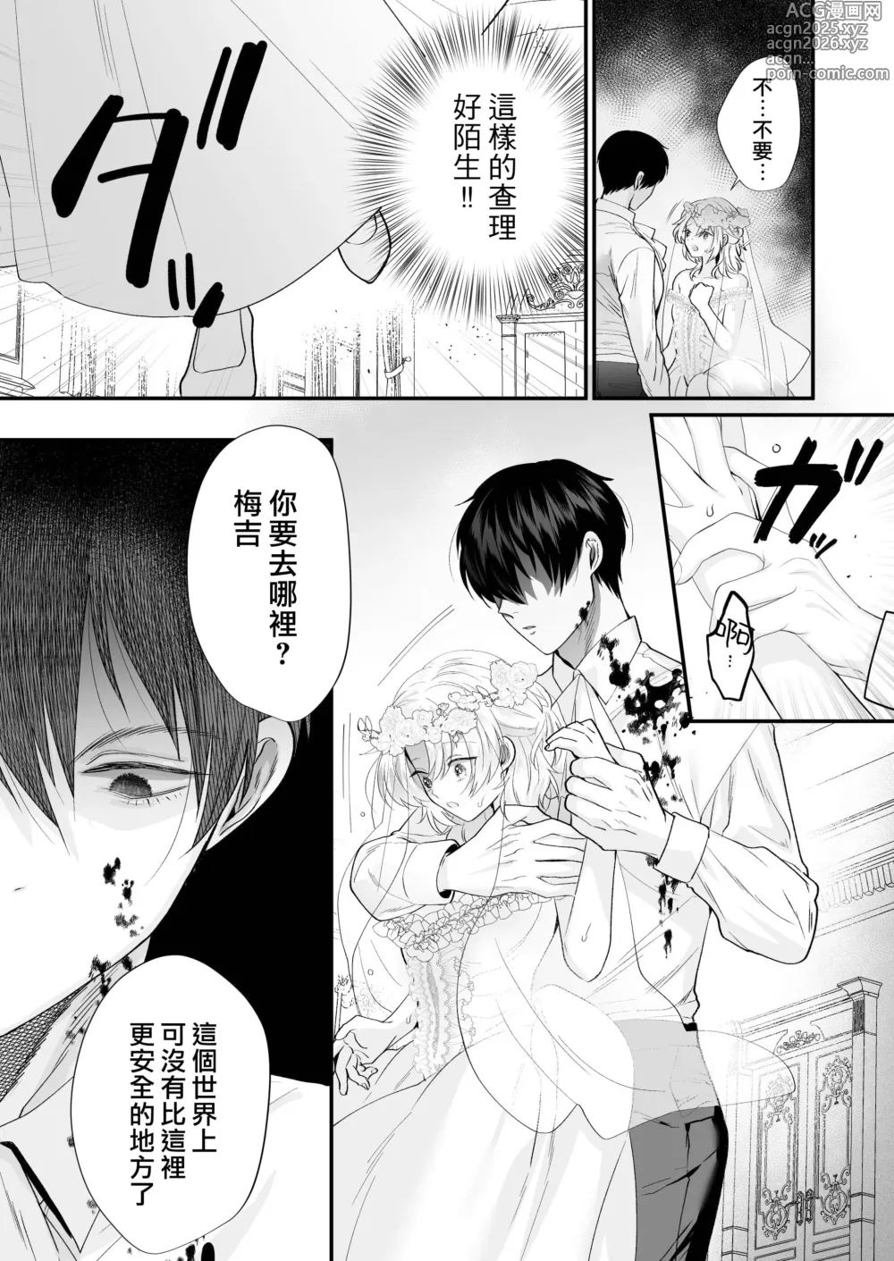 Page 17 of doujinshi 笼~横刀夺新娘~