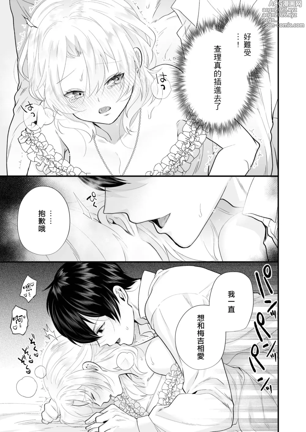 Page 25 of doujinshi 笼~横刀夺新娘~