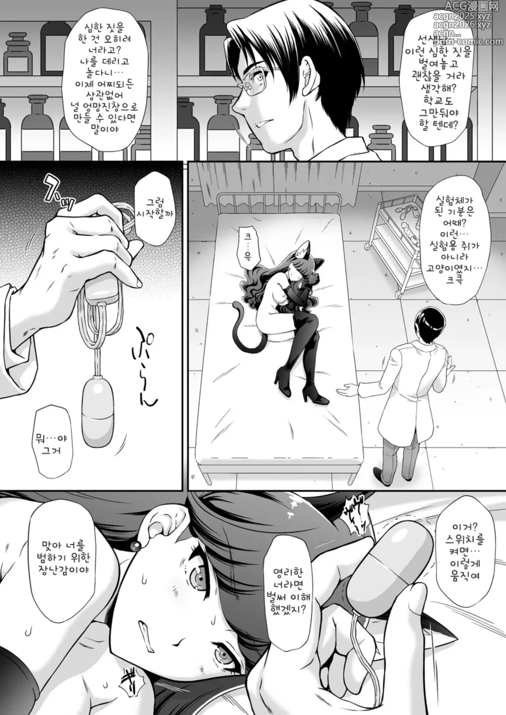 Page 10 of doujinshi Hatsujou Neko no Shitsukekata (decensored)