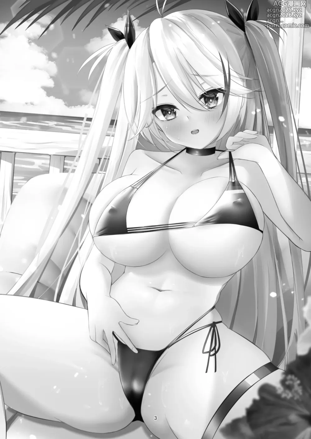 Page 2 of doujinshi Prinz Eugen no Midarana Himitsu