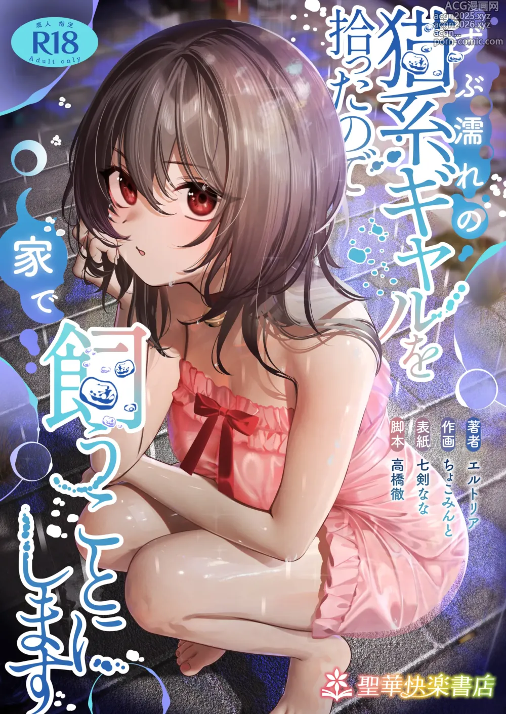 Page 1 of doujinshi Zubunure no Nekokei Gal o Hirotta node Ie de Kau Koto ni Shimasu