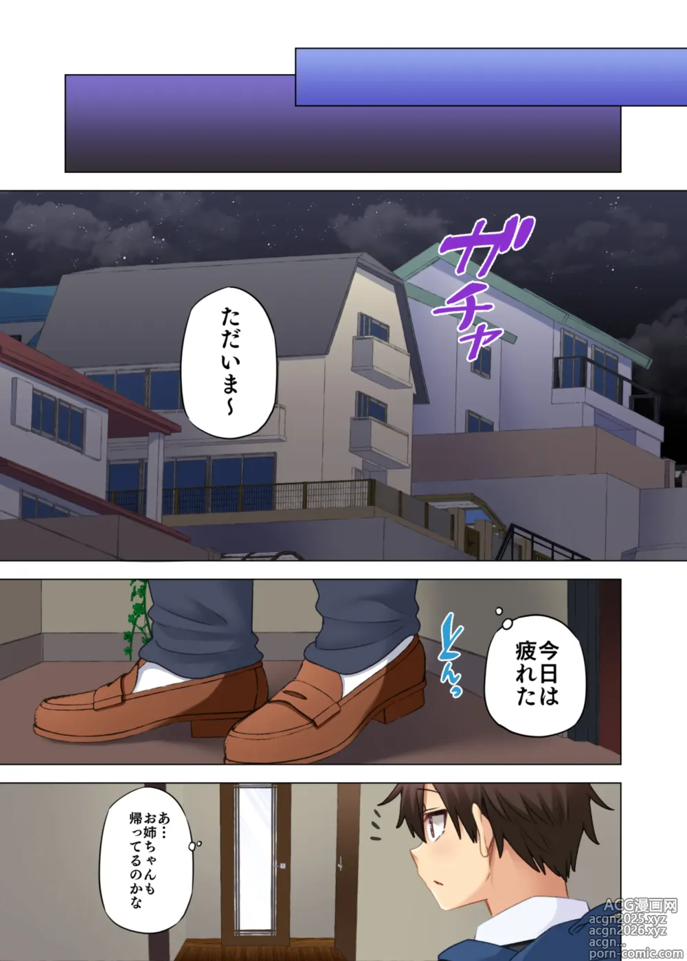 Page 52 of doujinshi O nēchan no Wasuremono o Todoke ni kita Hazu na Noni 9