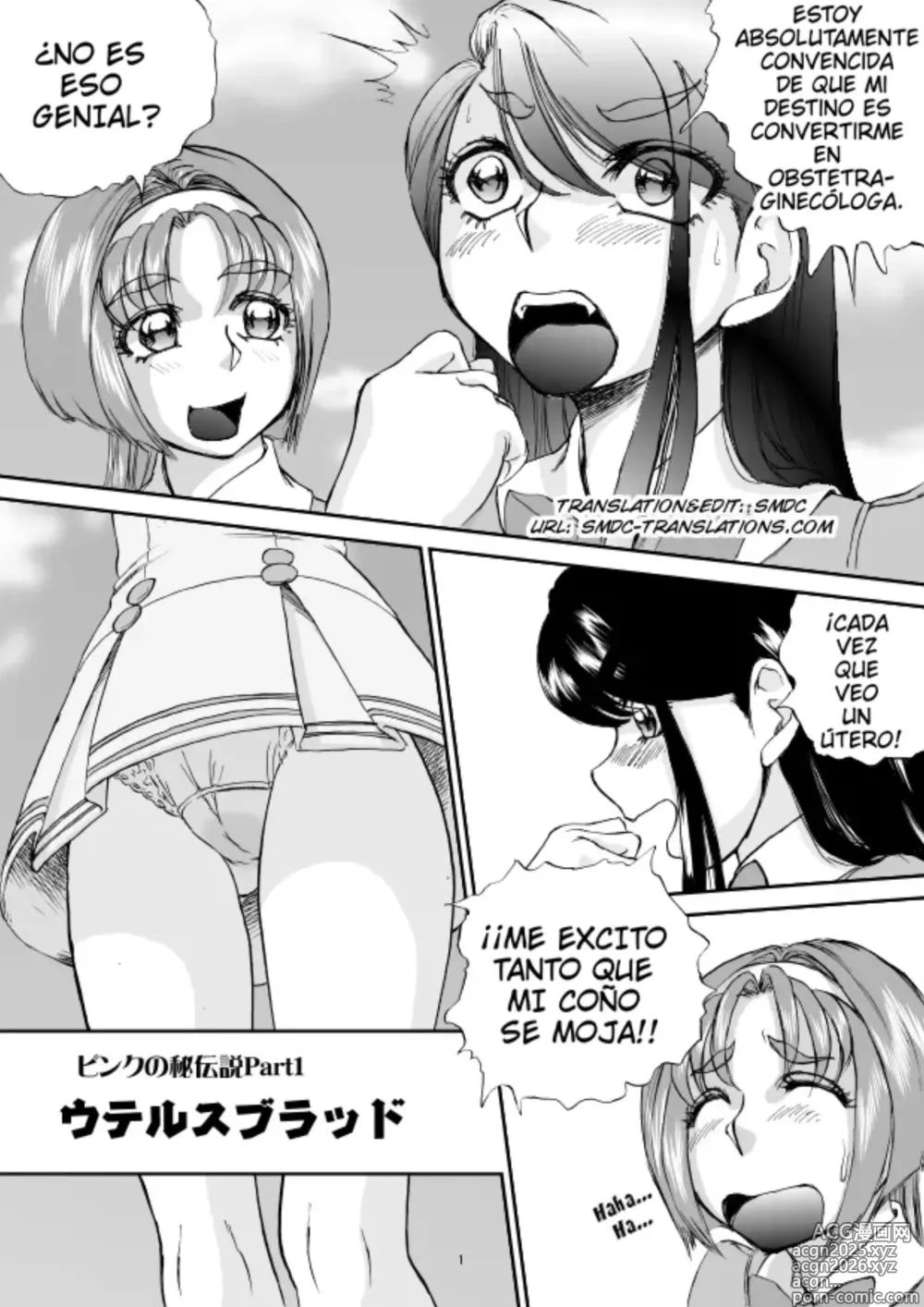 Page 3 of doujinshi Pink no Hidensetsu Part 1 - SANGRE DE ÚTERO