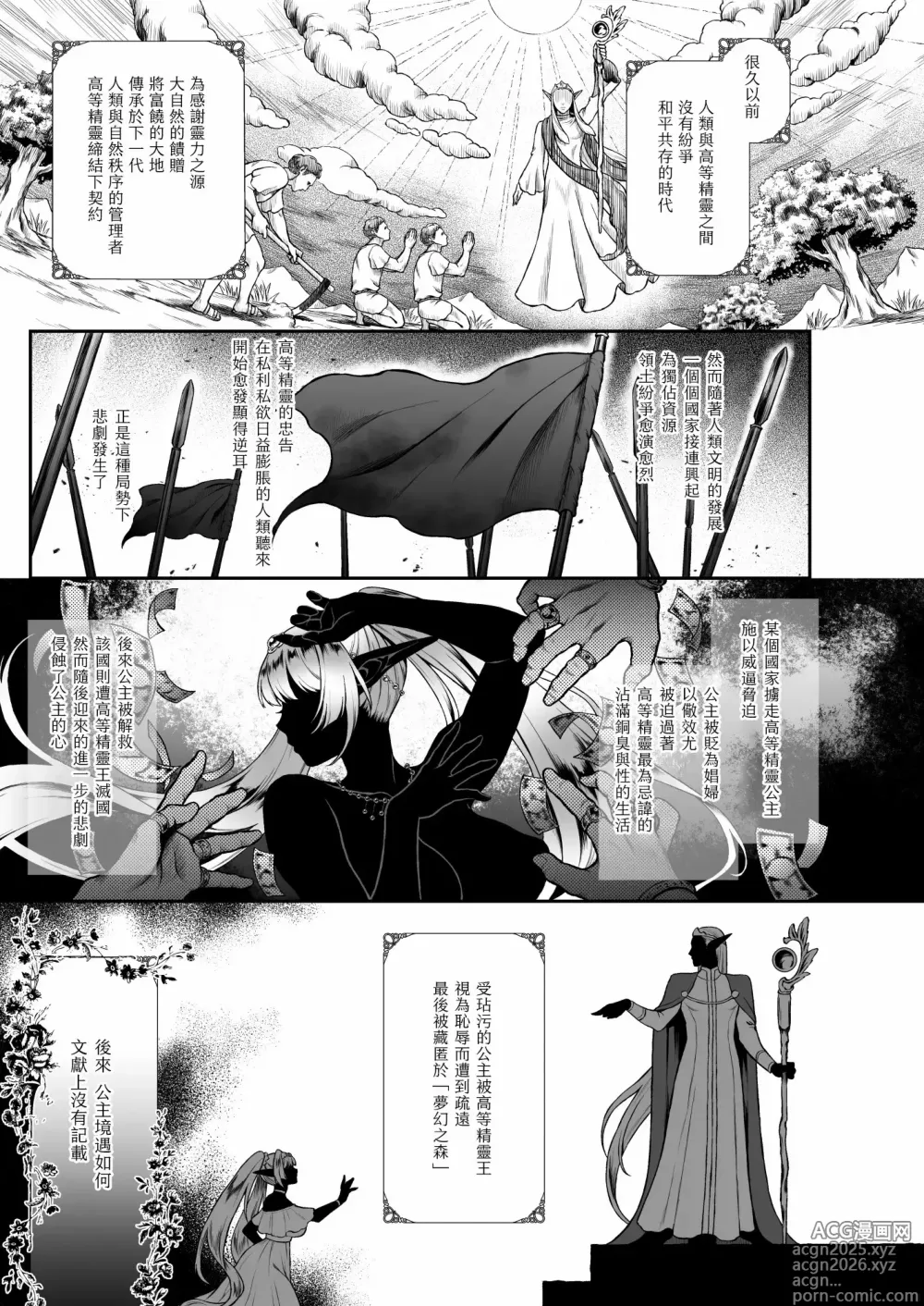 Page 3 of doujinshi 悠久的妓女精灵