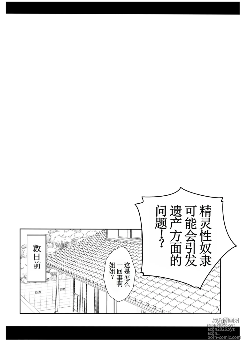 Page 18 of doujinshi 性奴隶精灵的继承问题 (decensored)