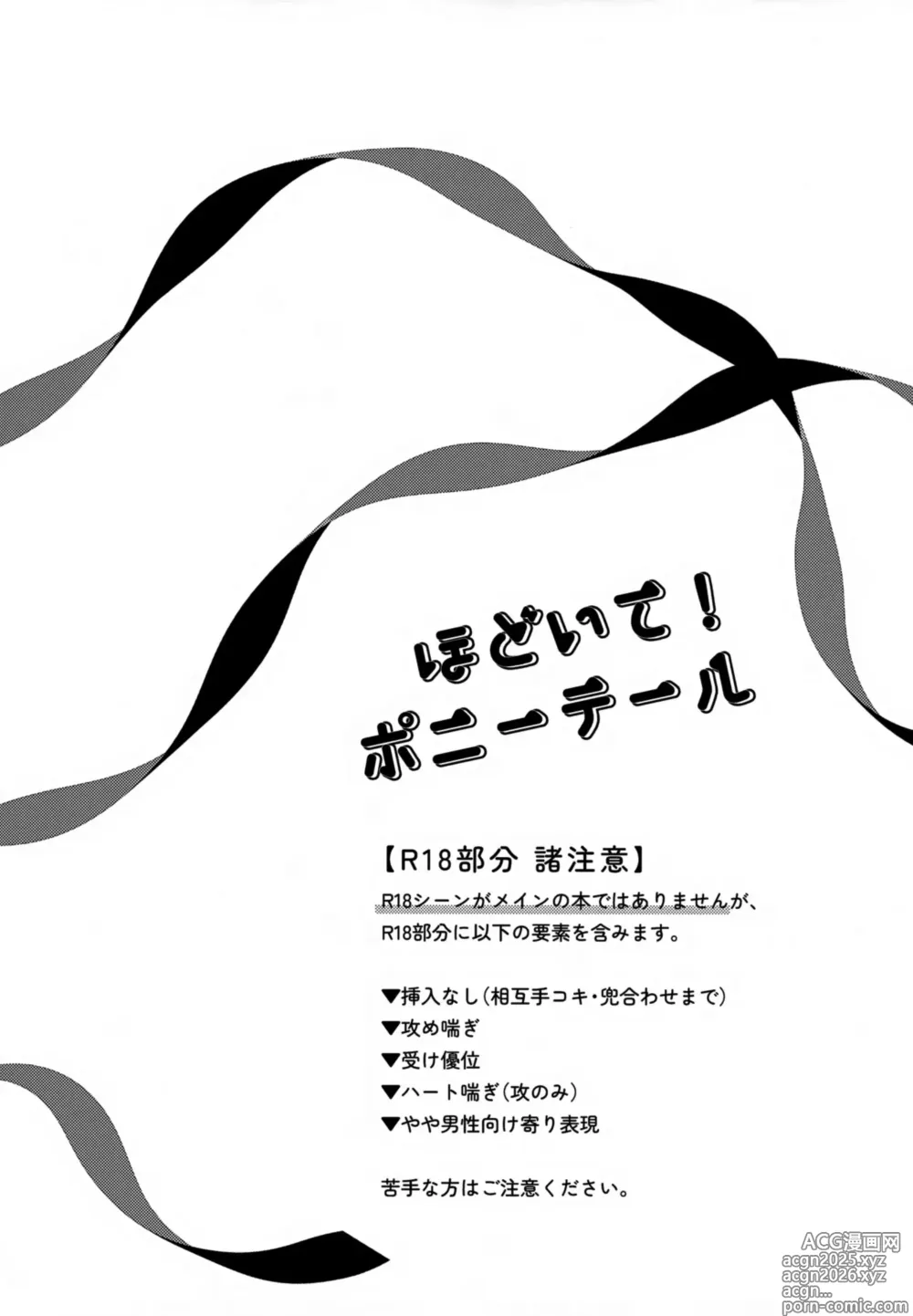 Page 3 of doujinshi Hodoite! Ponytail