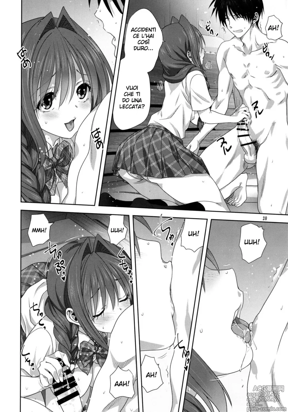 Page 20 of doujinshi Akiko-san to Issho 25