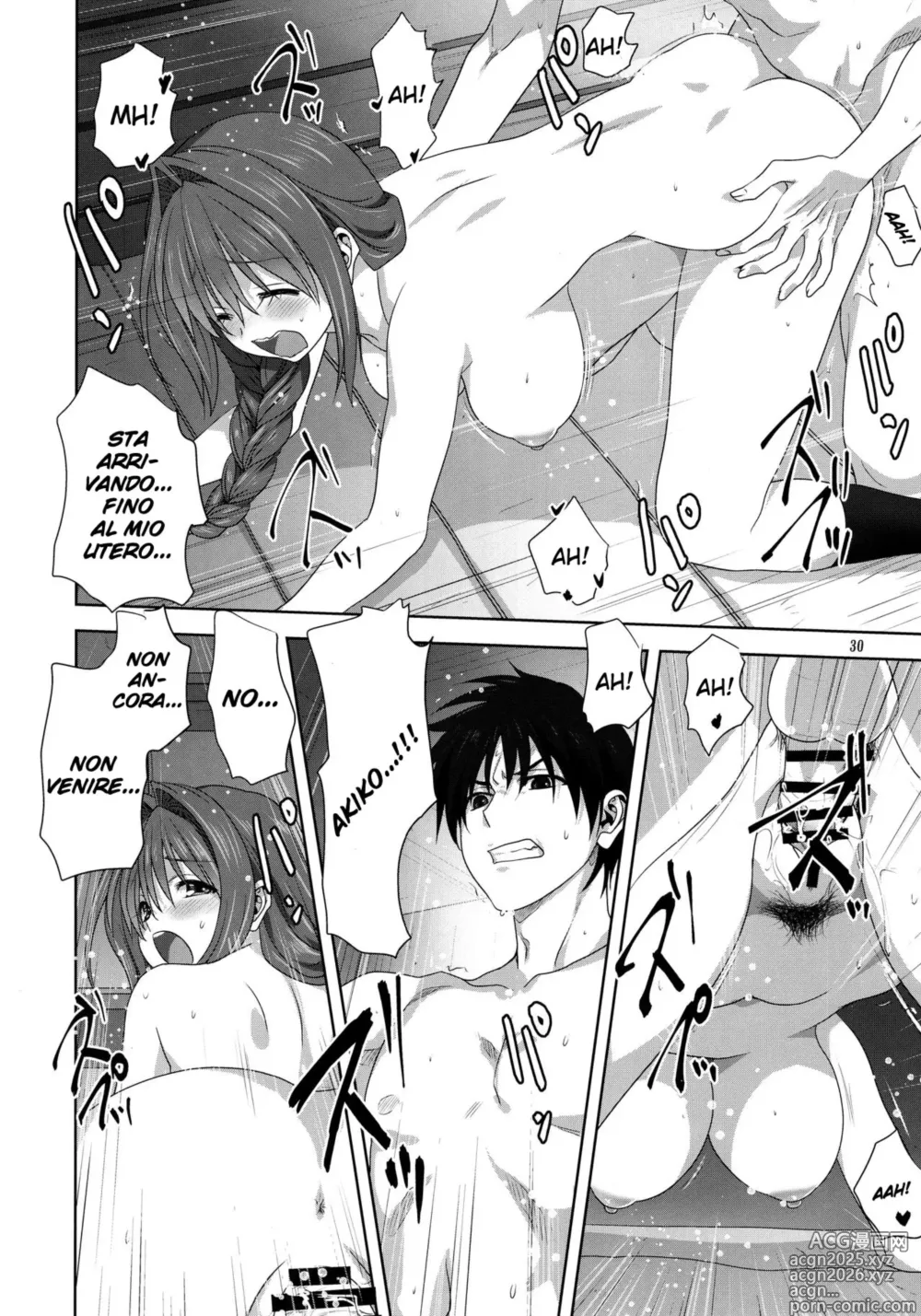 Page 30 of doujinshi Akiko-san to Issho 25