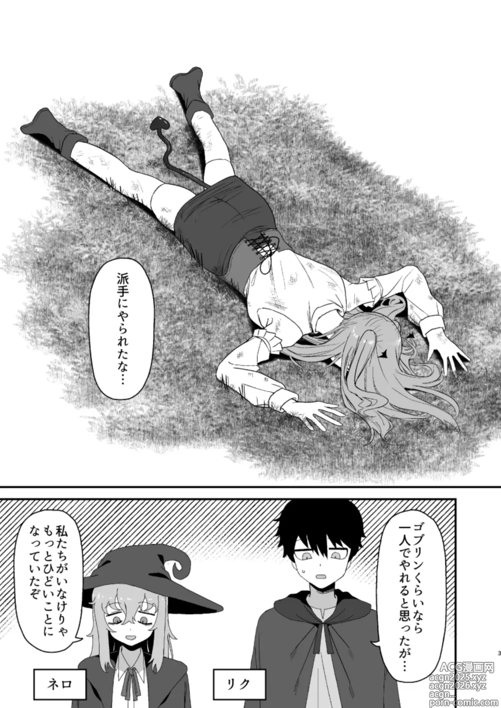 Page 3 of doujinshi Succubus ga Neteiru Aida ni