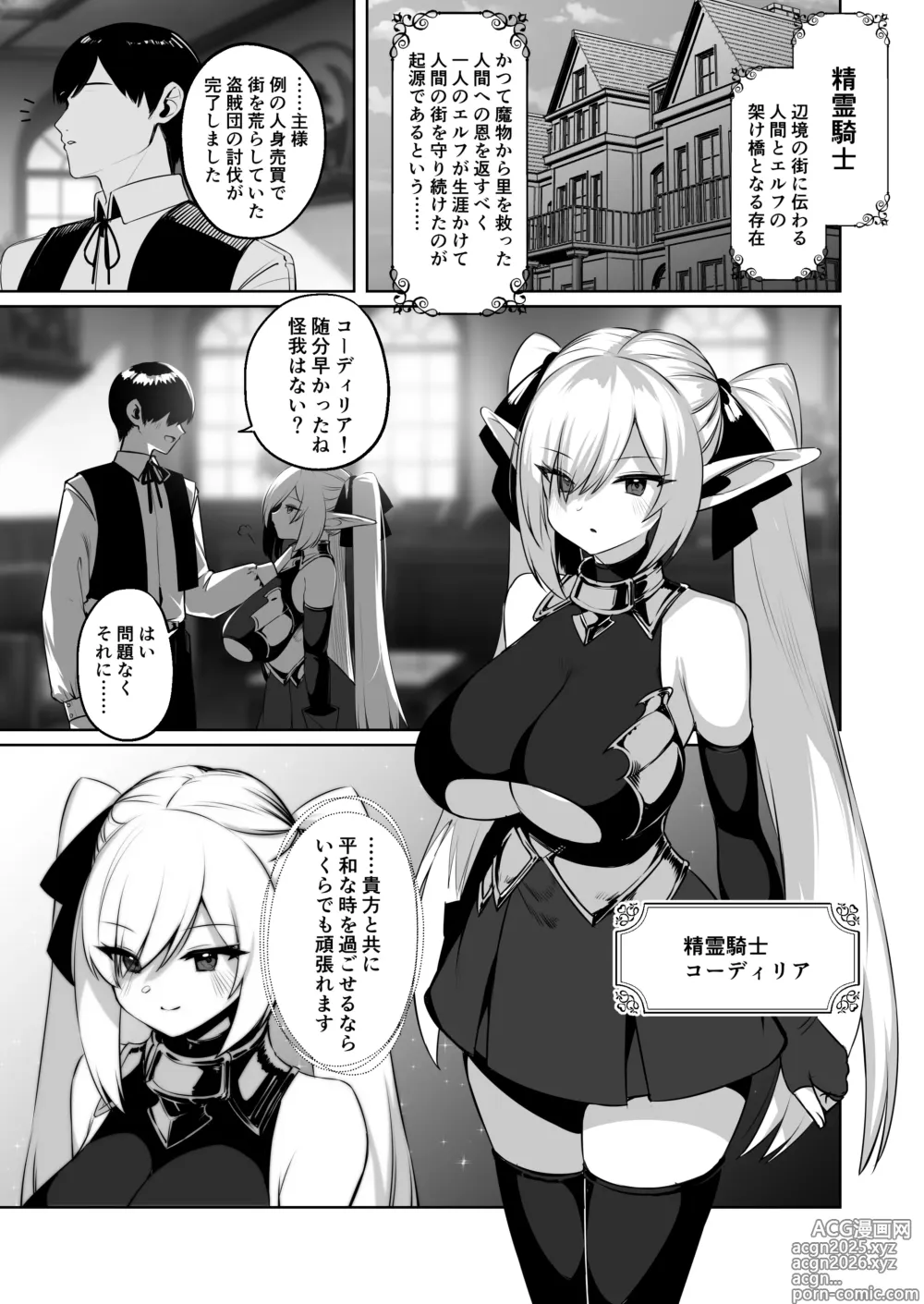 Page 2 of doujinshi seirei kishi kōdiria