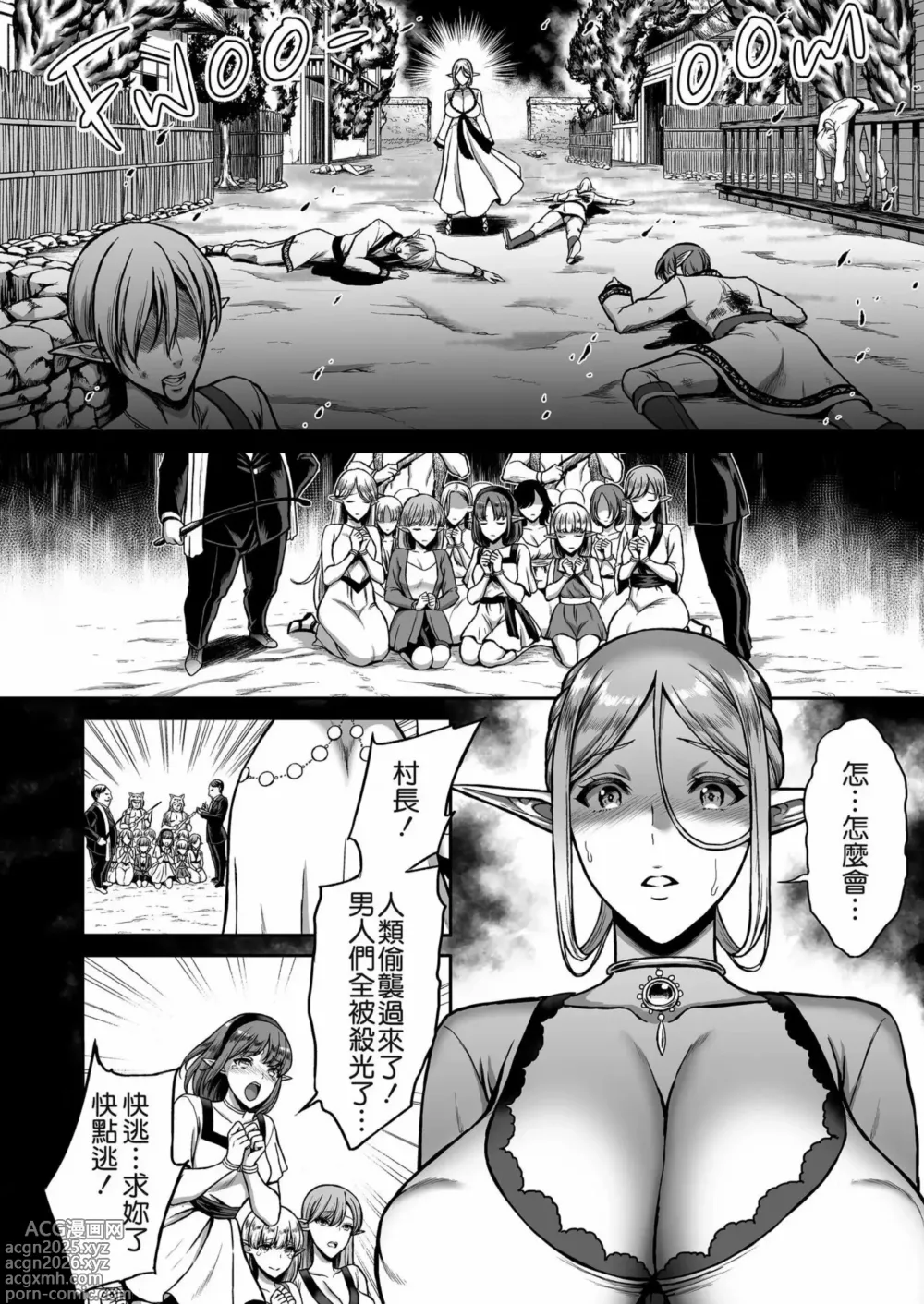 Page 3 of doujinshi 黄昏的精灵妓女