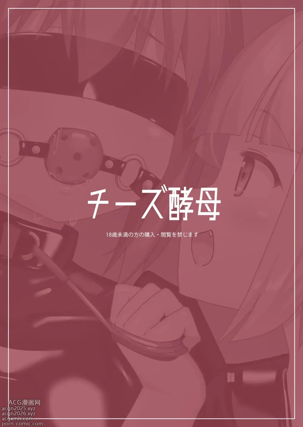 Page 21 of doujinshi Hitoinu Beit