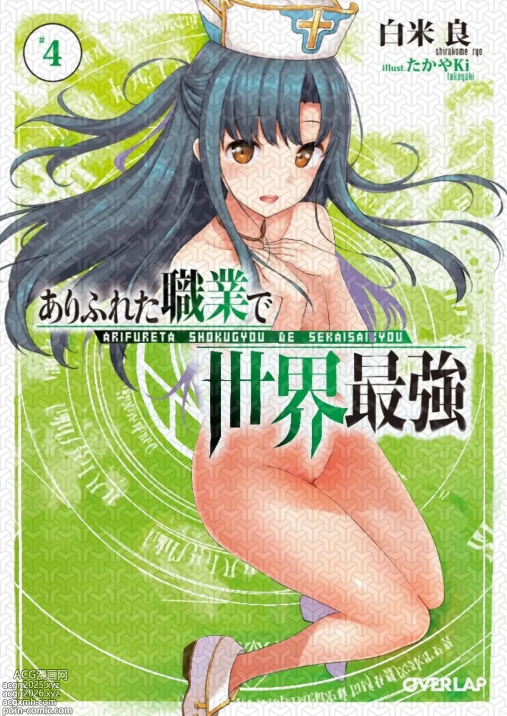 Page 4 of imageset Arifureta Light Novel Covers