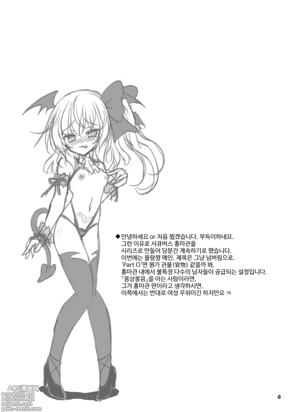 Page 3 of doujinshi Succubus Koumakan part II