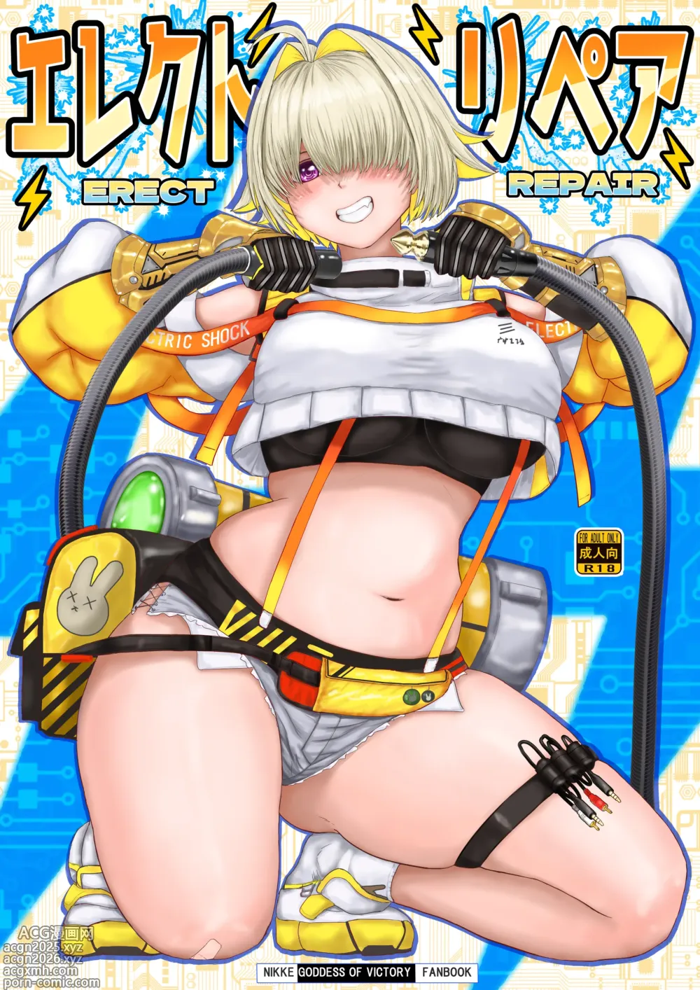 Page 1 of doujinshi Erect Repair