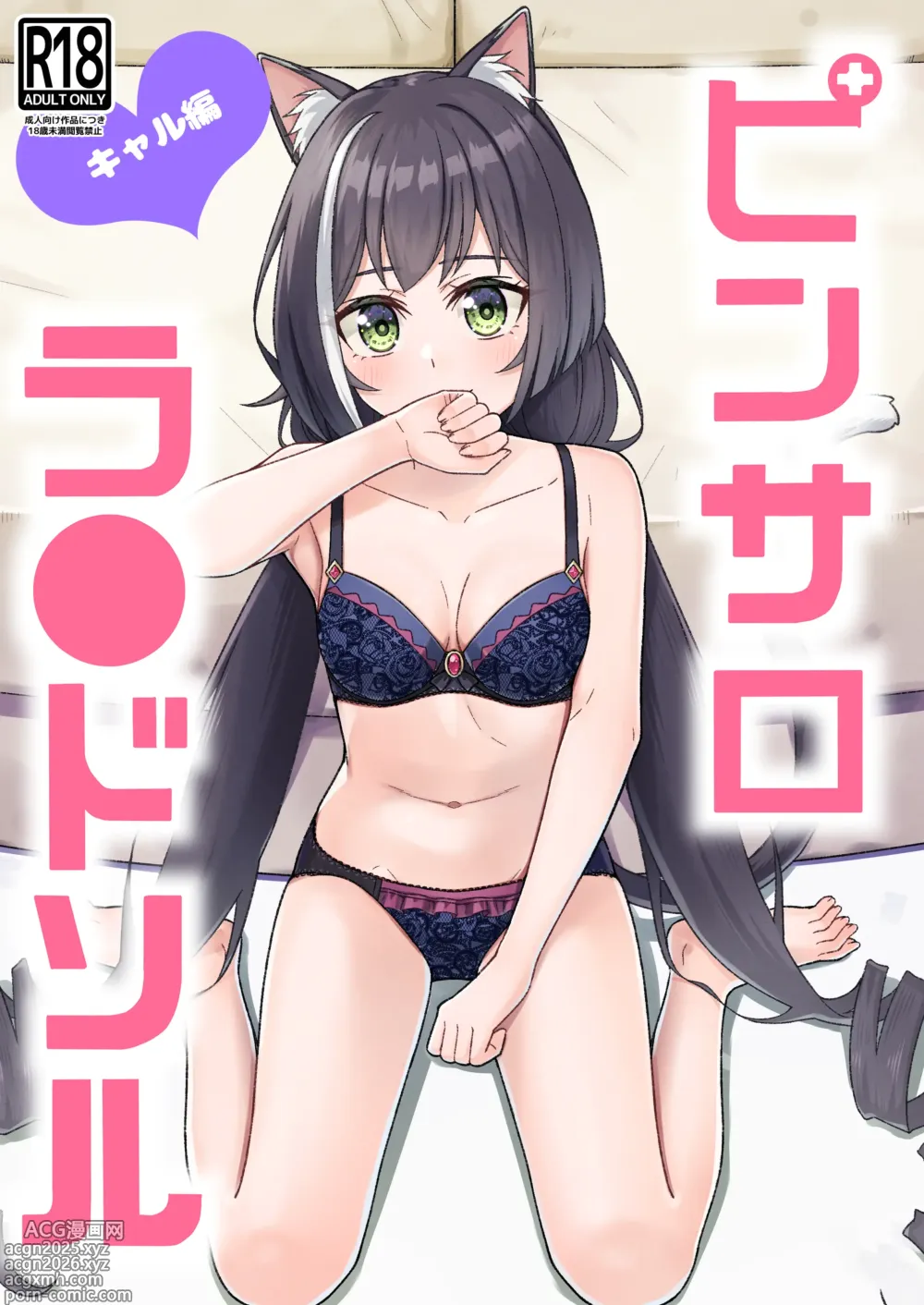 Page 1 of doujinshi Pinsaro Landosol 3