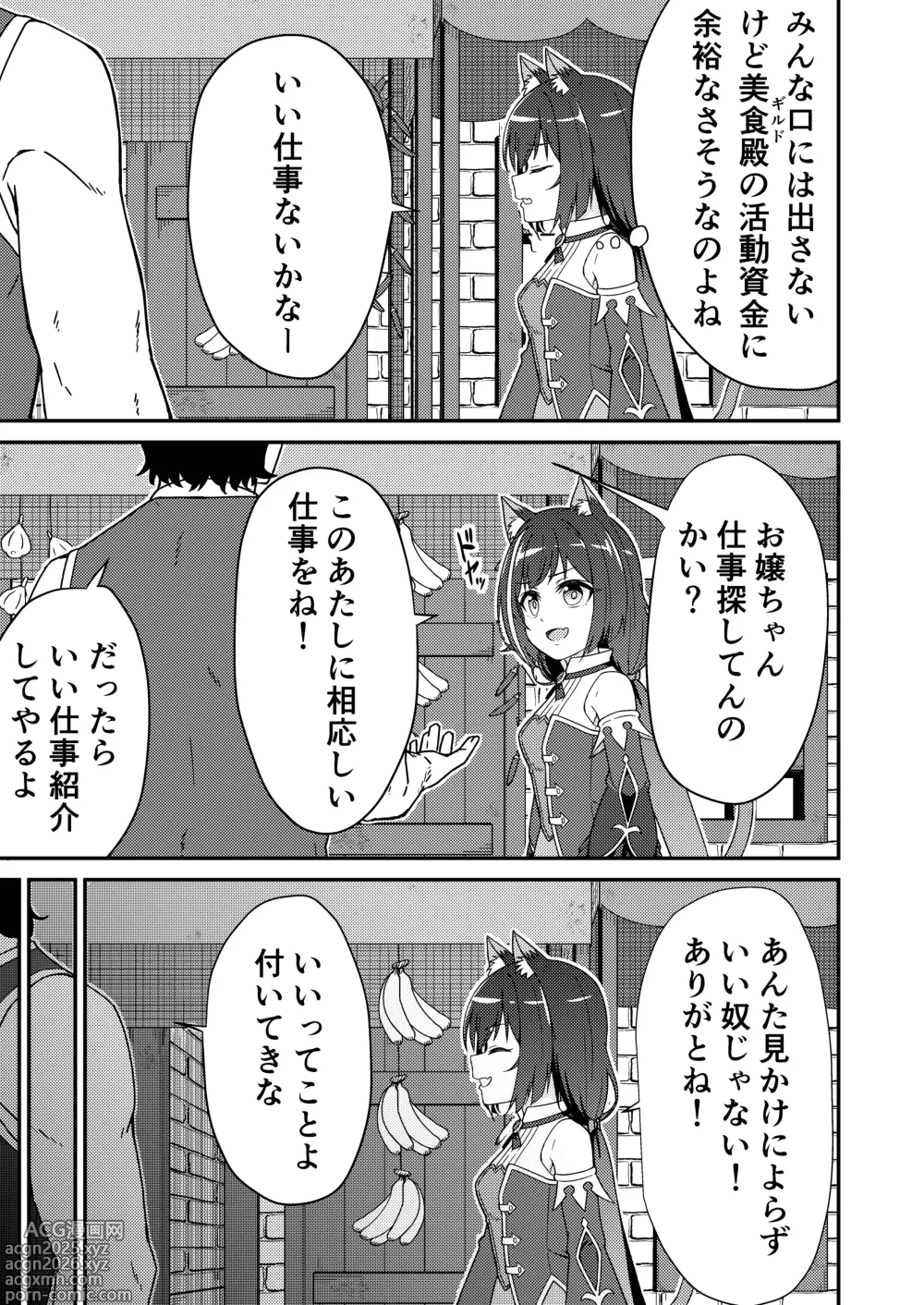 Page 2 of doujinshi Pinsaro Landosol 3