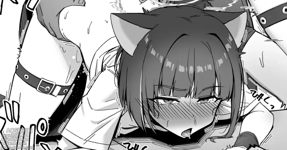 Page 9 of imageset nameco