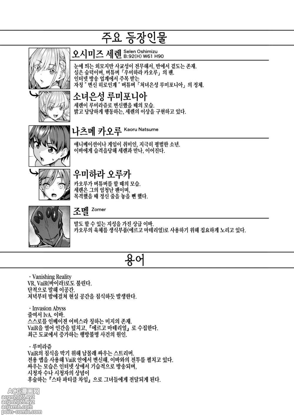 Page 3 of doujinshi Vanishing Reality 2 ~마창걸성~