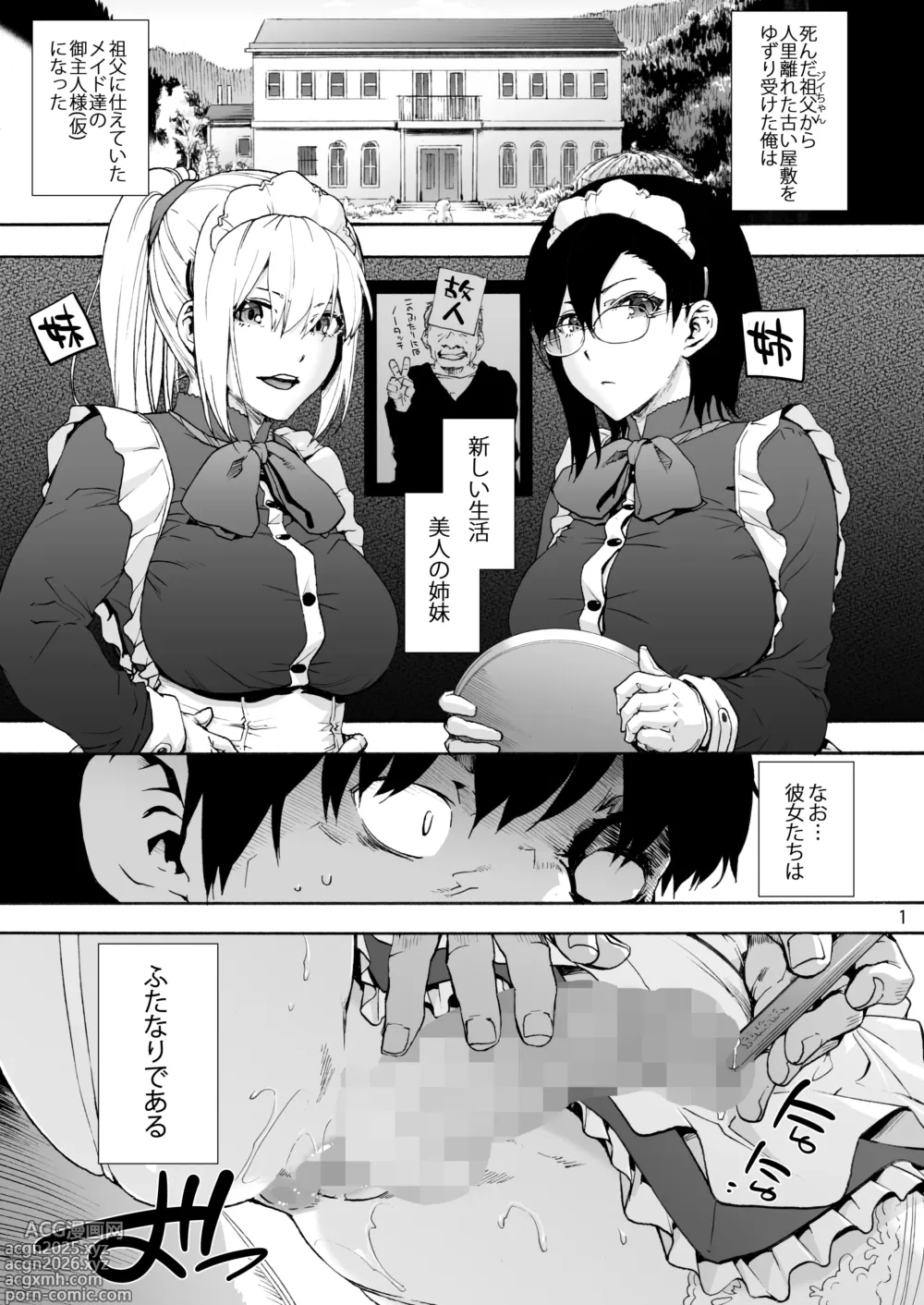 Page 3 of doujinshi 双奏鳴館2 ふたなりめいどさんたちはせいよくがつよい