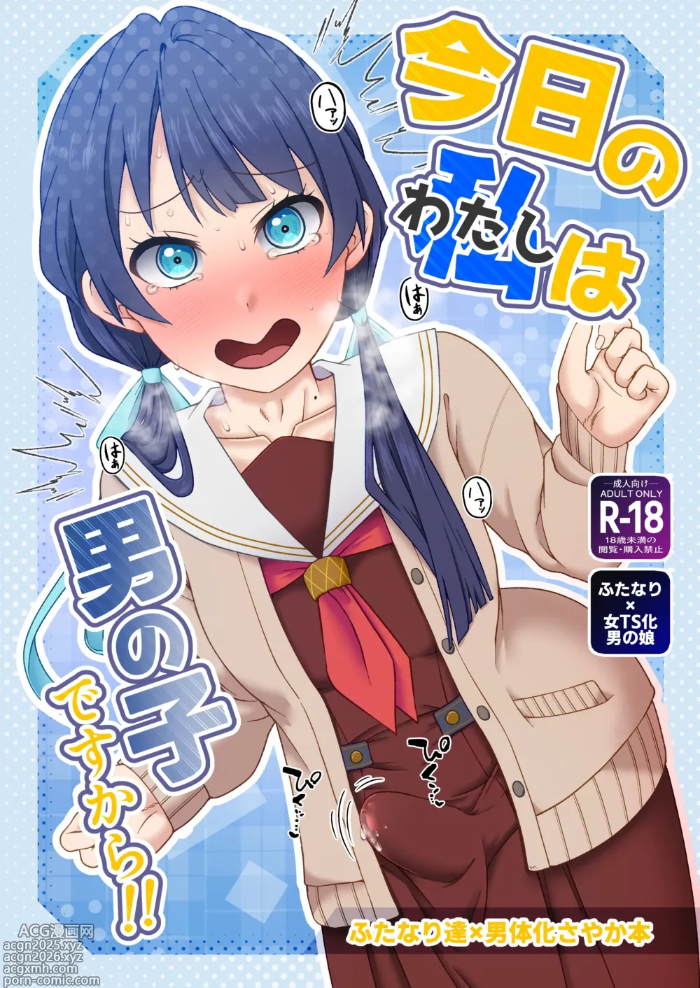 Page 1 of doujinshi 今日の私は男の子ですから!!