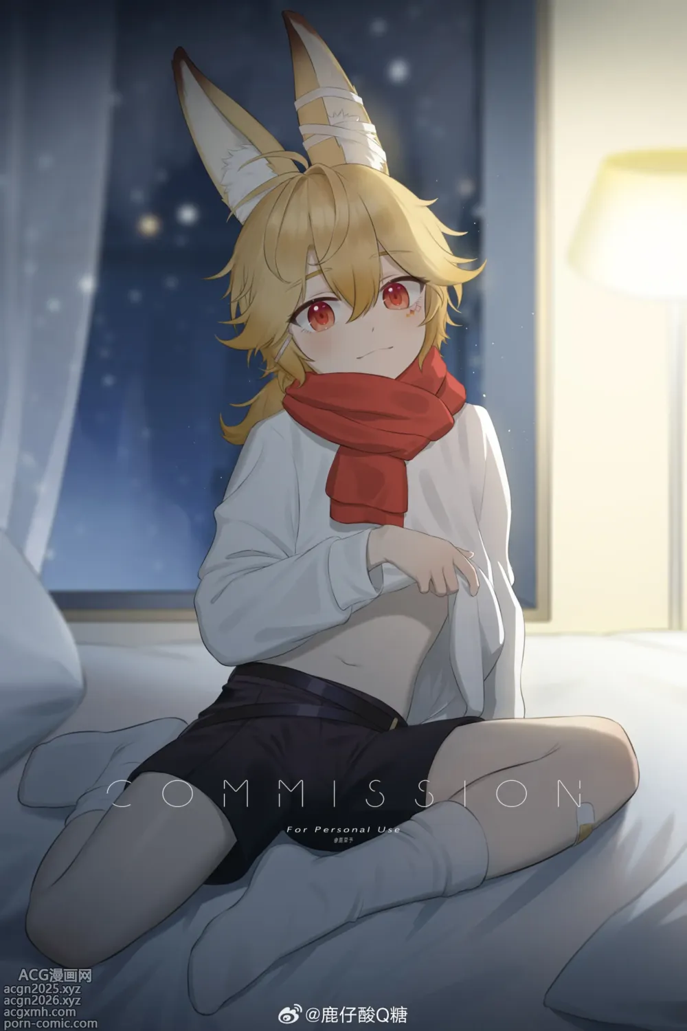 Page 4 of imageset Weibo+Twitter+Bluesky+Pixiv+FANBOX