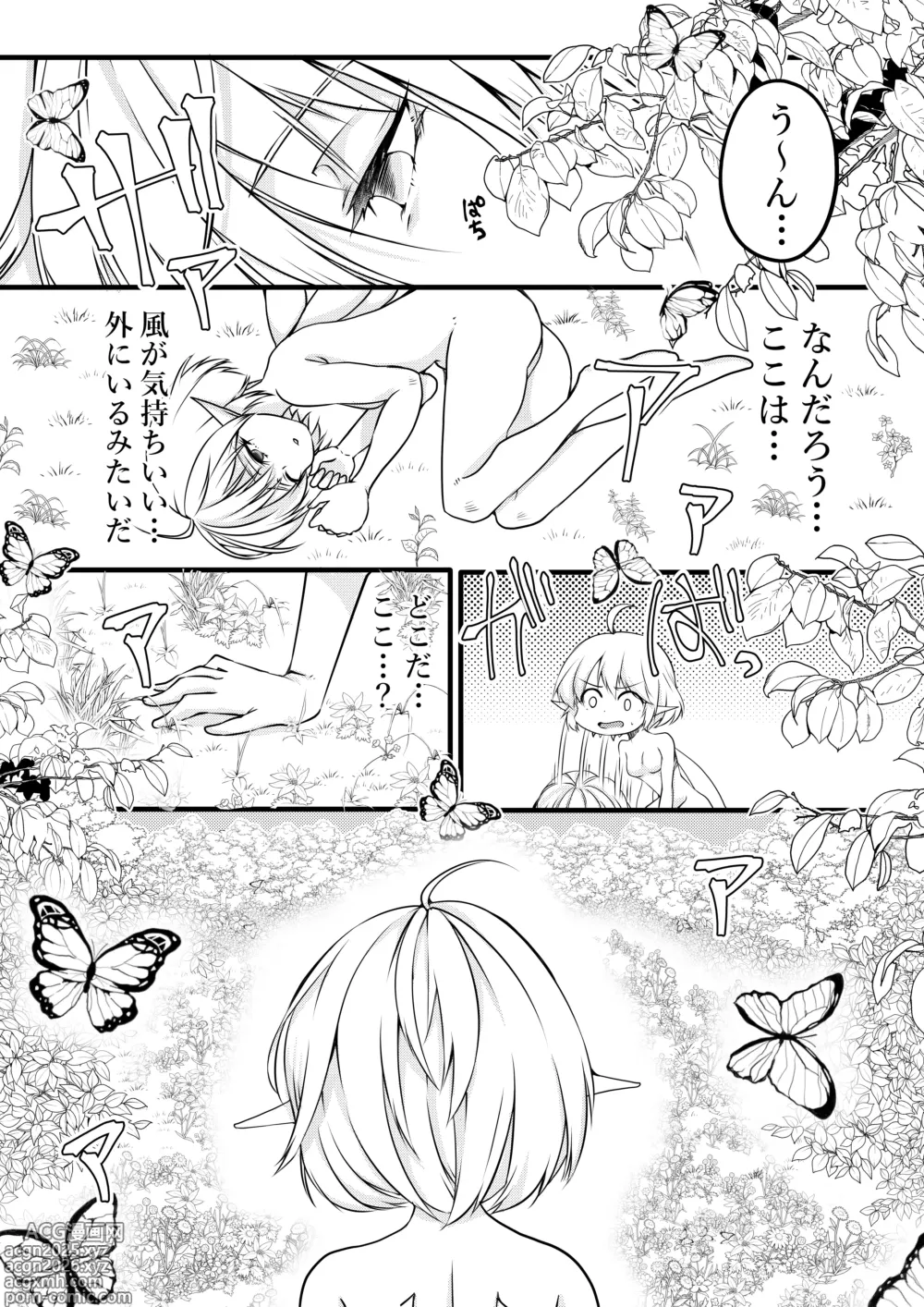 Page 3 of doujinshi Yousei no Kuni Zenpen