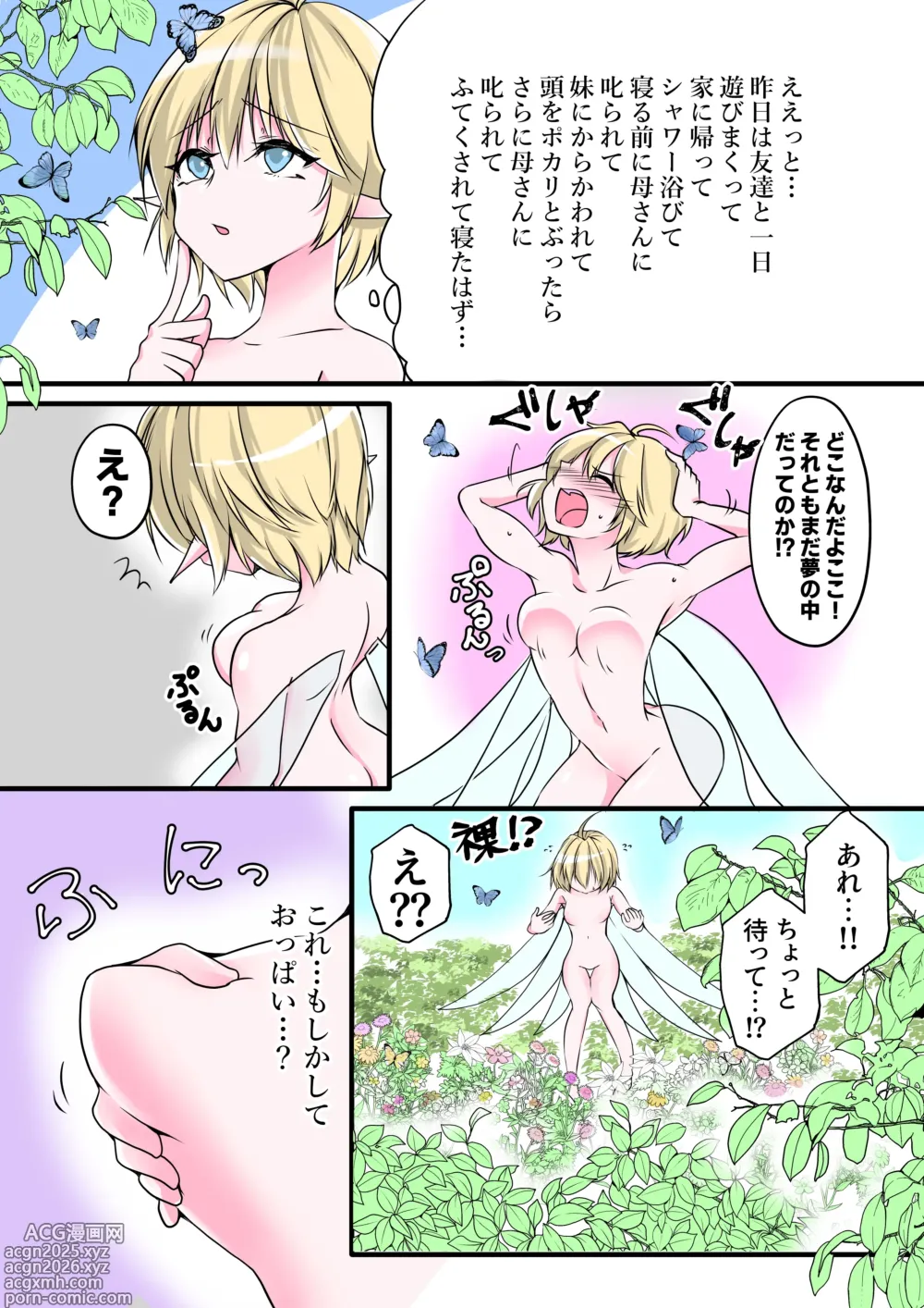 Page 4 of doujinshi Yousei no Kuni Zenpen