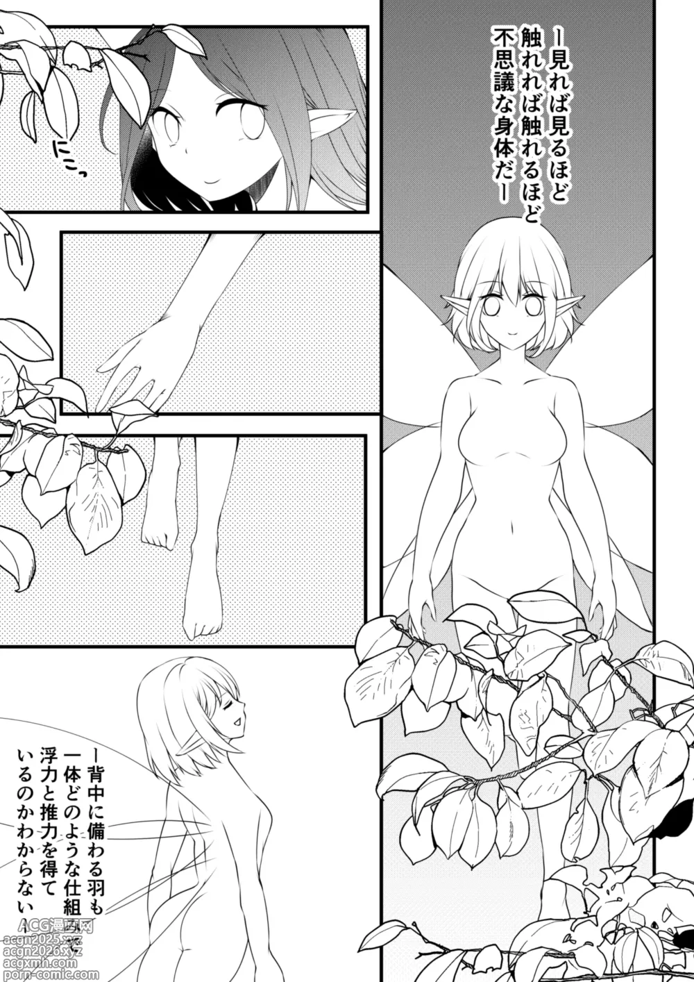 Page 5 of doujinshi Yousei no Kuni 2