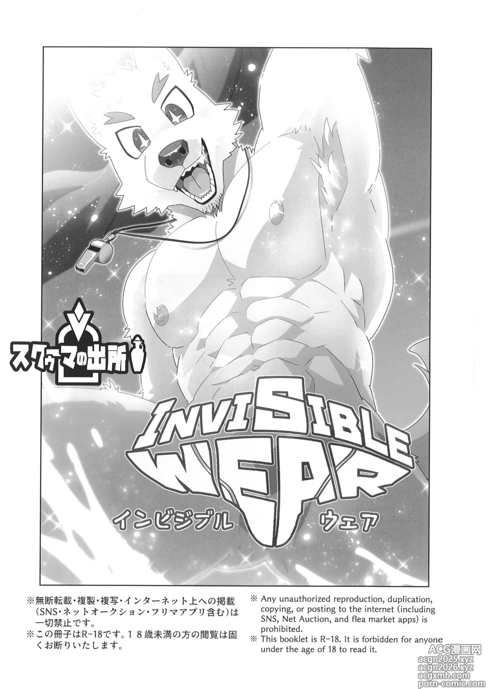 Page 2 of doujinshi Invisible Wear