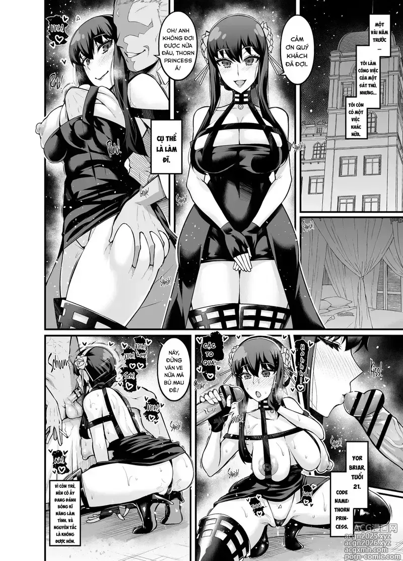 Page 1 of imageset Spyxfamily