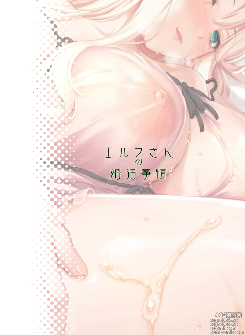 Page 31 of doujinshi エルフさんの婚活事情